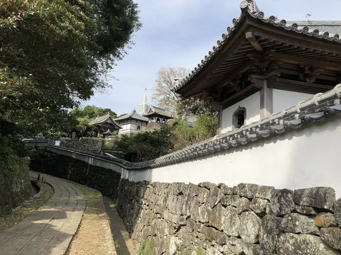 寺院と教会の見える風景