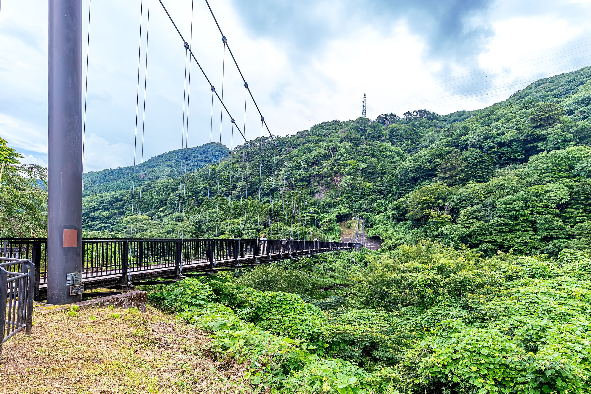 緑の渓谷に架かる鬼怒楯岩大吊橋