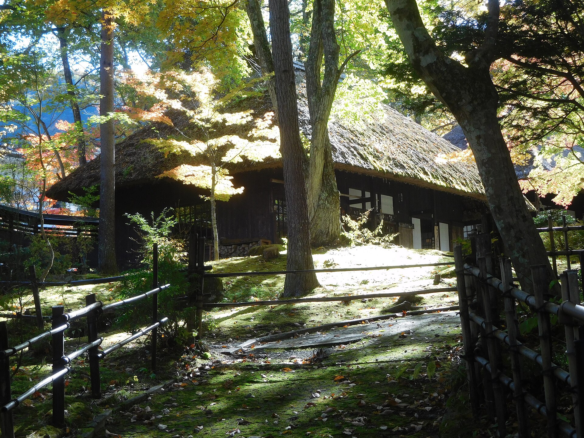 木々に囲まれた平家の里の茅葺きの建物